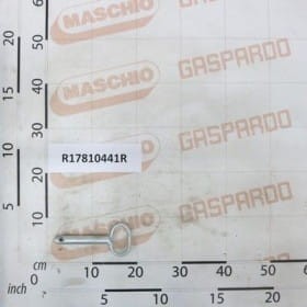 SWORZEŃD20 L110 ZN R17810441R OEM