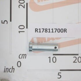 SWORZEŃ D30 L89 ZN R17811700R OEM