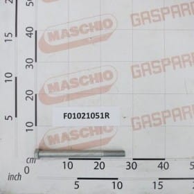 SWORZEŃ F01021051R OEM