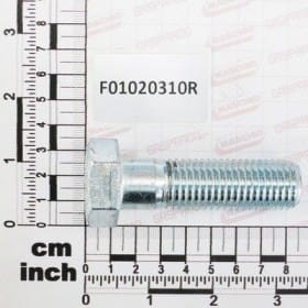 SWORZEŃ  20X70 5737 10.9 GALVANIZ F01020310R OEM
