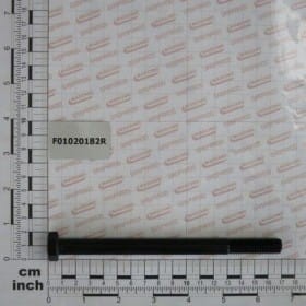 SWORZEŃ 12X160 5737 8.G F01020182R OEM