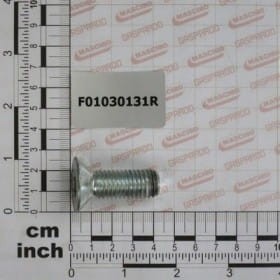 SWORZEŃ 14X40  5933 10.9 GALVANIZ F01030131R OEM