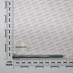 SWORZEŃM 10X160 F01020141R OEM