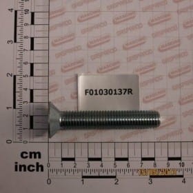 SWORZEŃ M 14X80 F01030137R OEM