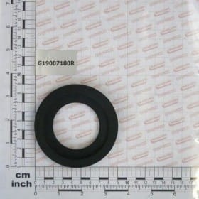 USZCZELKA D.70 MM G19007180R OEM