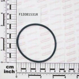 USZCZELKA G2 1/2 F12081531R OEM