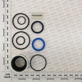 USZCZELKA SET (38100479) F03100109R OEM