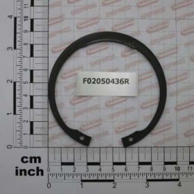 PIERŚCIEŃ SEGERAD.85 F02050436R OEM