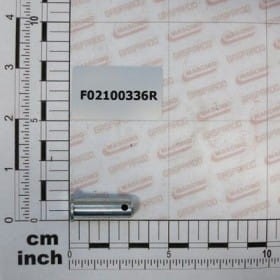 Sworzeń D.10 F02100336R OEM