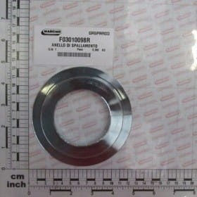 PIERŚCIEŃ NA RAMIĘ F03010098R OEM