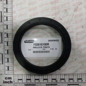 PIERŚCIEŃ USTALAJĄCY F03010100R OEM