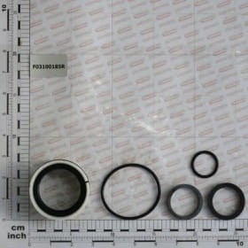 Komplet o-ringów siłownika 15312720 F03100185R OEM