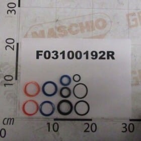 Zestaw O-RING 14911000 F03100192R OEM