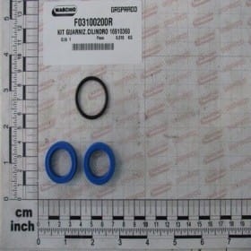 USZCZELKI CYLINDRA F03100200R OEM