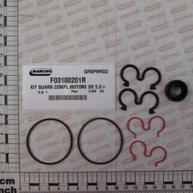 ZESTAW SILNIKA HYDRAULICZNEGO 67007449 F03100201R OEM