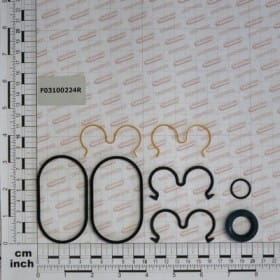 Zestaw uszczelnień DX20,8ANTICAVO F03100224R OEM