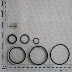 Zestaw naprawczy cylindra 17913720 F03100230R OEM