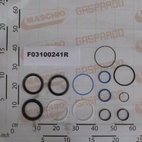 Komplet uszczelnień cylindra R17210822 F03100241R OEM