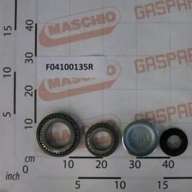 ZESTAW ŁOŻYSK KOŁPAKOWYCH 6113770 F04100135R OEM