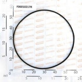 Pas A 67 F06010217R OEM