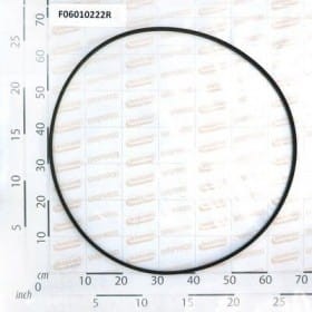 Pas A 81 F06010222R OEM