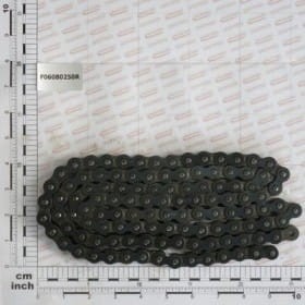 Łańcuch ISO 10B-1 5/8  11 F06080250R OEM