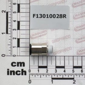 Element gwintowany 1/8G-8 F13010028R OEM
