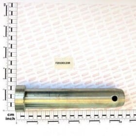 Sworzeń D45 L194 C40 F20100120R OEM