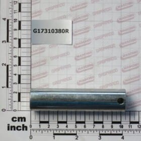 Sworzeń 25 X97 ZN G17310380R OEM