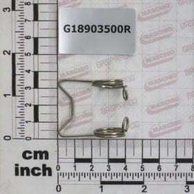 SPRĘŻYNA CZYSZCZĄCA ROZPYLACZ H G18903500R OEM