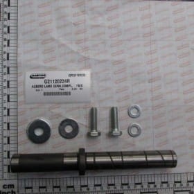 Trzpień zawiasu komplet G21120224R OEM