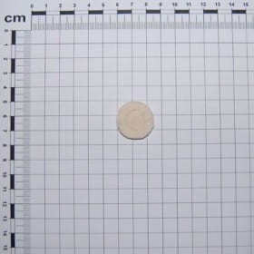 DUST COVER D.25 G22270079R OEM