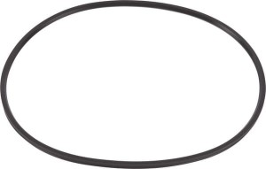 Pierścień uszczelniający o-ring 0501319994