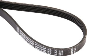 Pas wielorowkowy Optibelt, 5PJ559 5PJ559