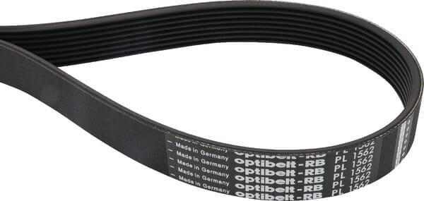 Pas wielorowkowy 8 PL, 1219 mm 8PL1219