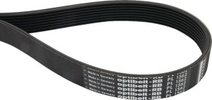 Pas wielorowkowy Optibelt, 8PL1562 8PL1562