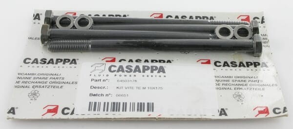 Śruby mocujące Polaris 20 M10x175 mm 4 szt. PLP920M10175