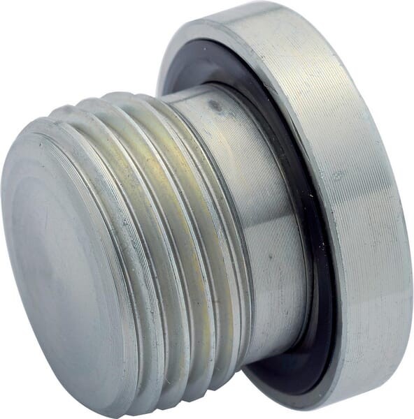 Korek z uszczelką 1/2" BSP VSR08WDGP