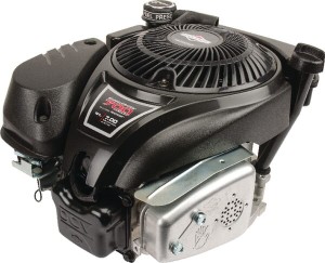 Silnik, wał pionowy, 5.0 KM 750 EX, jednocylindrowy Briggs & Stratton 1006025025H5
