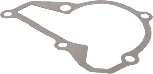 Uszczelka osłony pompy 110602451