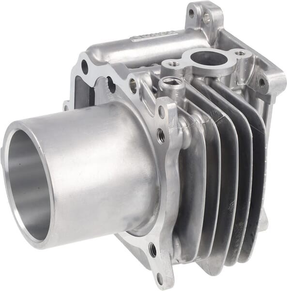Cylinder silnika kpl. 12100Z9L405