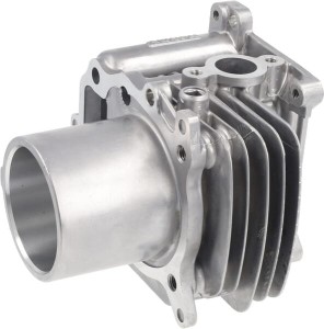 Cylinder silnika kpl. 12100Z9L405