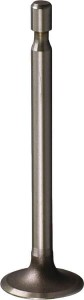 Zawór ssący 261055S