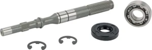 Wał pompy/zestaw łożyska 168T2099250