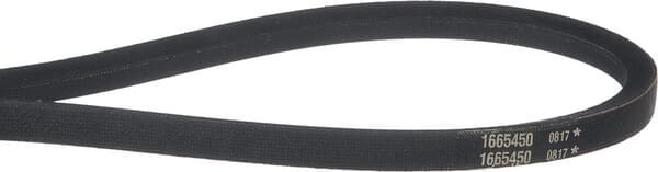 Pasek 1665450SM