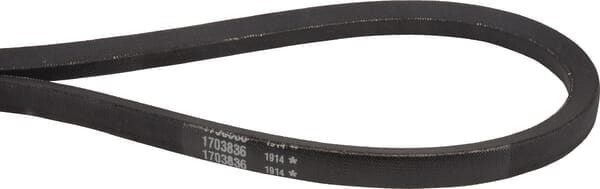 Pasek klinowy 1703836SM