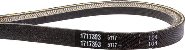 Pasek 1717393SM