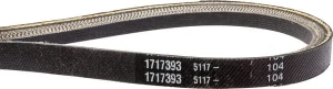 Pasek 1717393SM