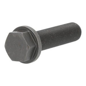 Śruba z łbem sześciokątnym 01178546