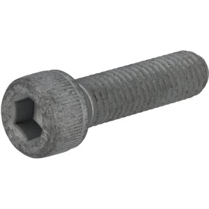 Wkręt z łbem walcowym 01178700